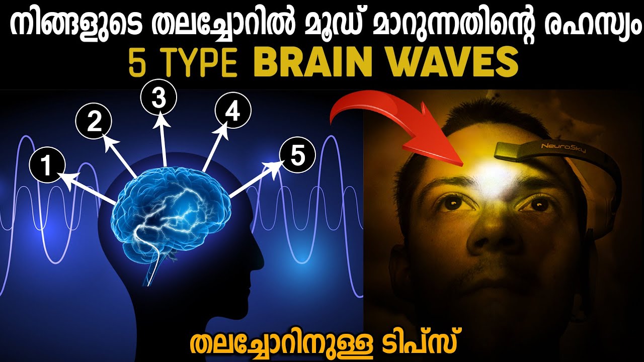 ഫോക്കസ്, മെഡിറ്റേഷൻ, ഉറക്കം... ഇവയുടെ ശാസ്ത്രം  BRAIN WAVES SECRETS  - LIFE CHANGING AFFIRMATIONS