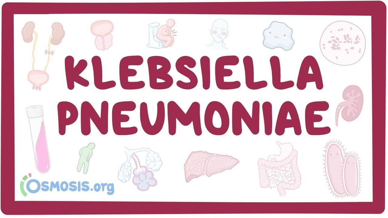 Klebsiella pneumoniae - an Osmosis Preview