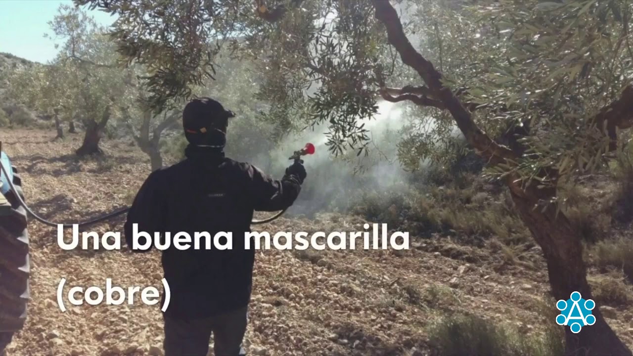 Casos de Éxito: OliETE-TERUEL - (Nuevo)