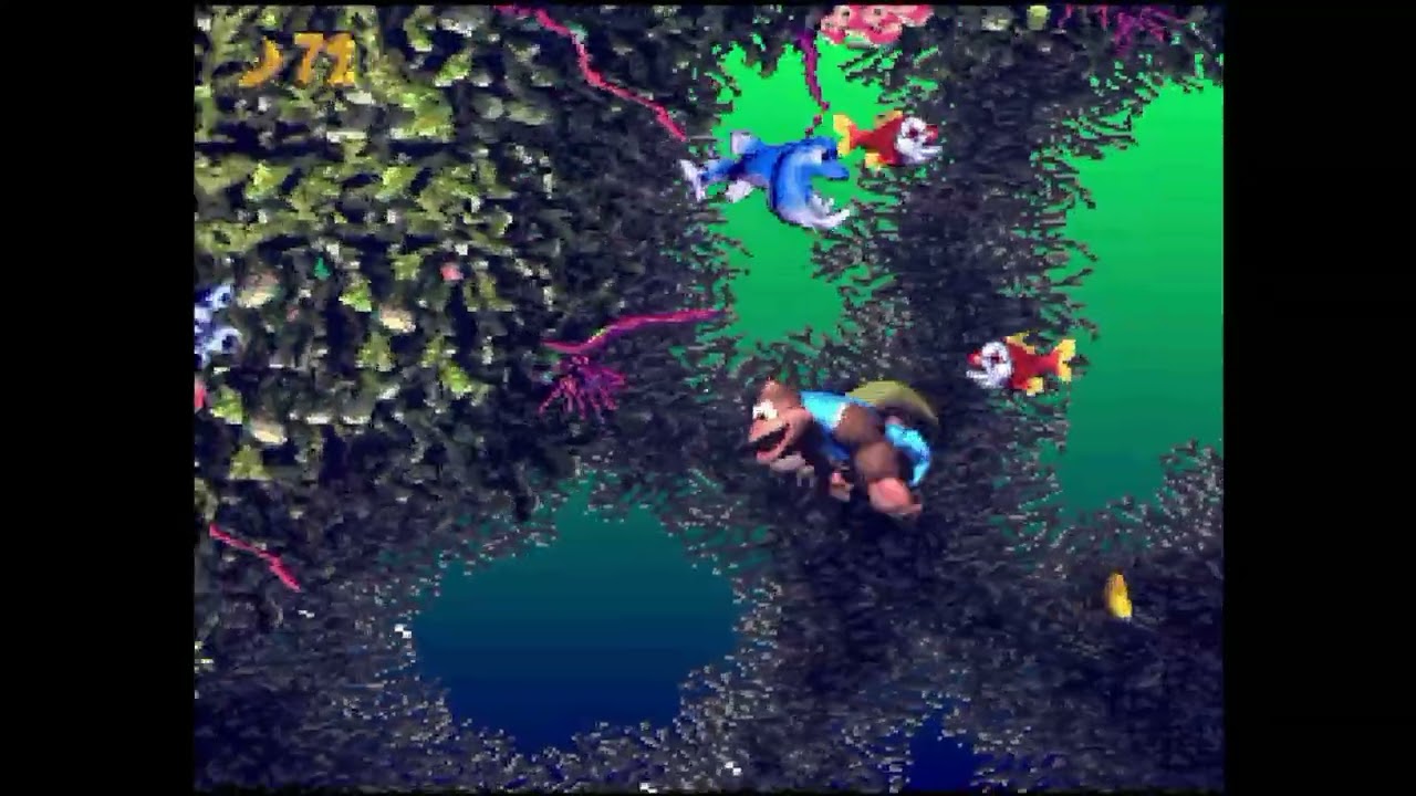 DKC3 - All Bonus Rooms & DK Coins - Cotton-Top Cove 5 - Fish Food Frenzy