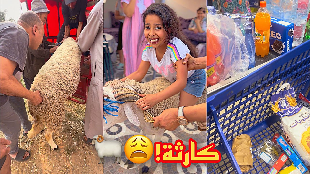 الحولي دار لينا كارثة🐏 ضرب الناس!😱و ها شنو تقدينا للعيد🛒