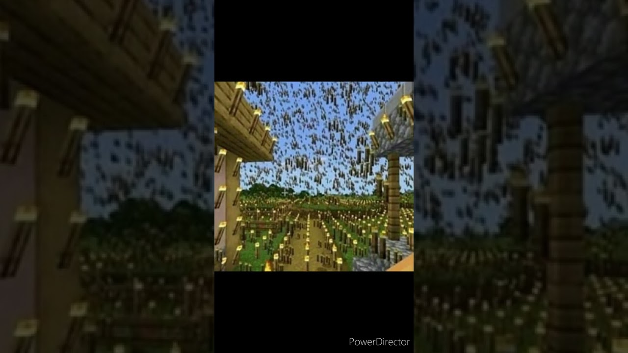 #xd