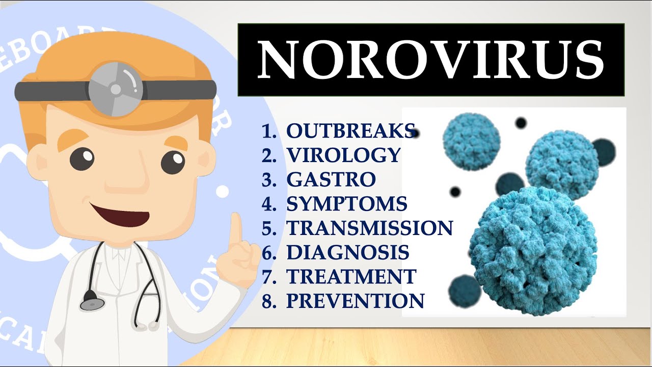 Norovirus Basics - Symptoms, Transmission, Incubation, Diagnosis, Treatment, Prevent | Public Health