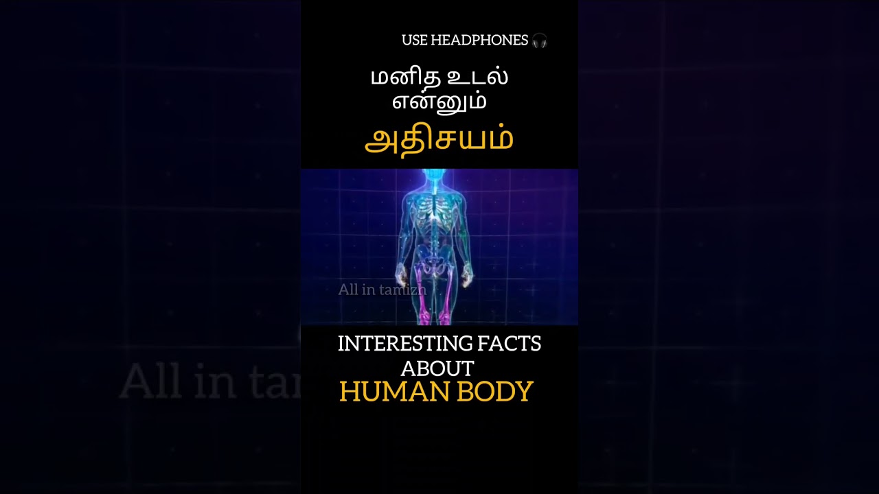 மனித உடல் என்னும் அதிசயம் FACTS ABOUT HUMAN BODY #shorts #allintamizh #god #humanbody #study #tamil