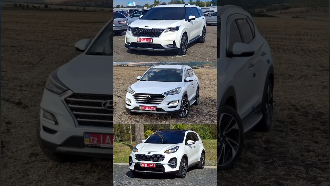 11 жовтня 2025 авто у вільному продажу #kia #hyundai #tucson #sportage #carnival