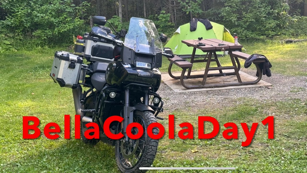 Встреча с медведем на мотоцикле Harley Davidson Pan America!