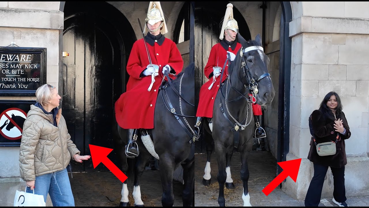 Guard Shuts Down Their Attempt to Get Closer to the Horse.