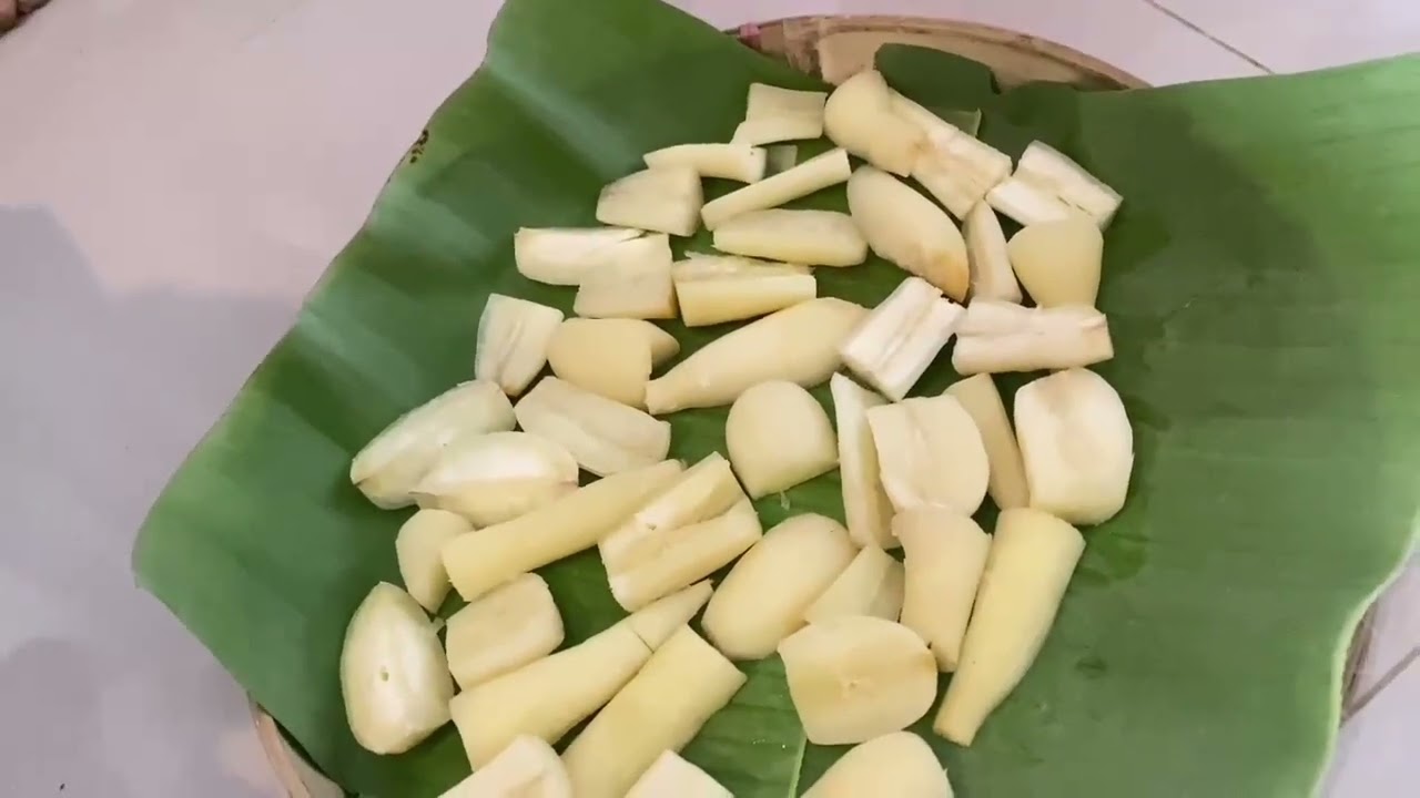 Bioteknologi konvensional TAPAI SINGKONG