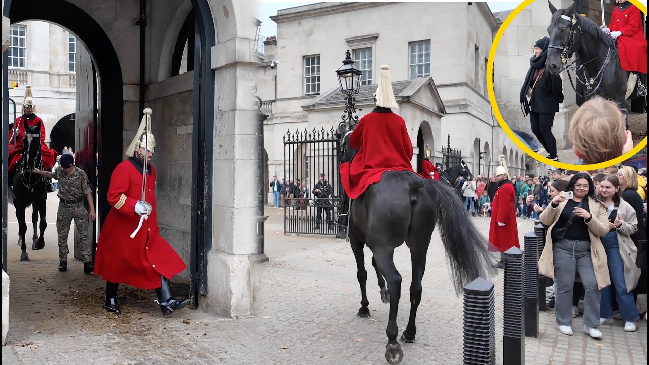 When King's Horse has had ENOUGH and DECIDES to QUIT!! ‼️🐴