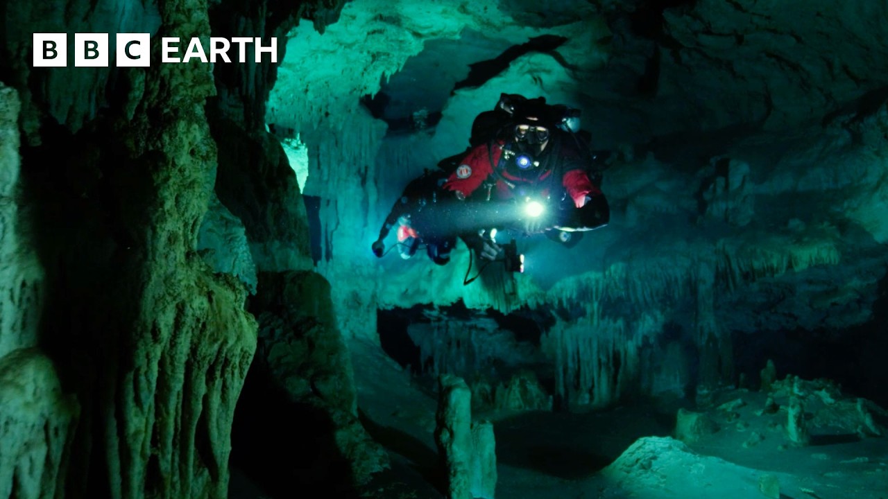 Cave Divers Explore Cenotes of the Yucatán | Wild Mexico | BBC Earth