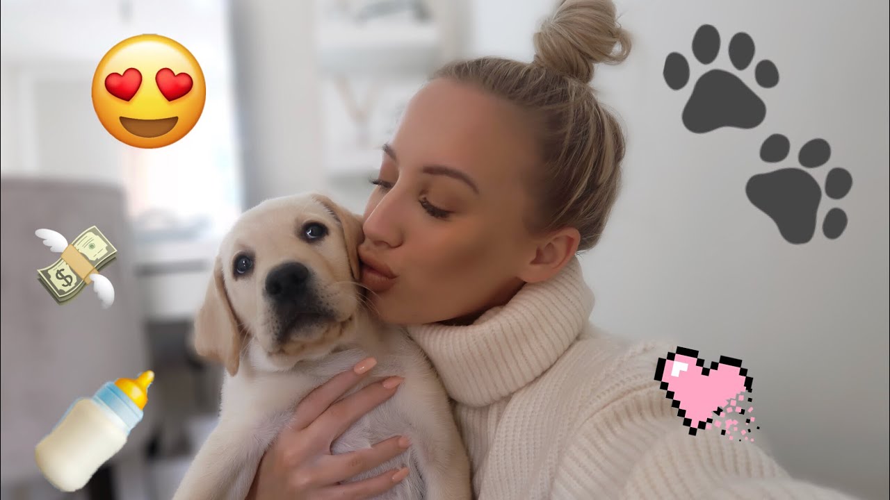 NEW PUPPY HAUL! EVERYTHING YOU NEED FOR A NEW PUPPY!