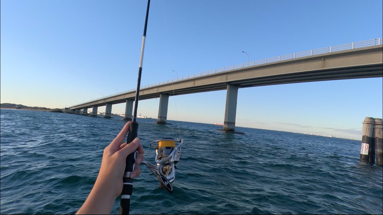 A slow day fishing turned out to be very successful | Fishing the Garden island bridge. Ep 54