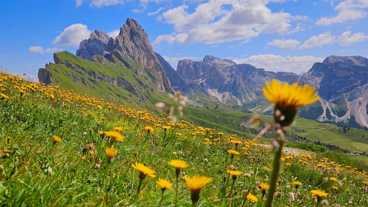 Trentino  Alto Adige 2024