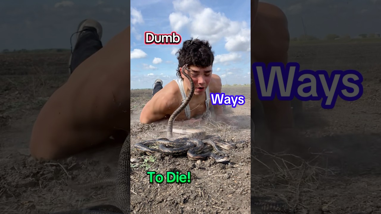 Snake bite😱🐍.   #Snakes #reptiles #animals #herping #funny #herpetology #animals