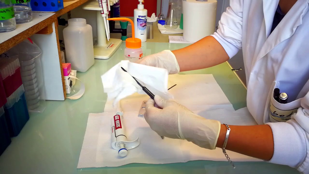 Finnpipette F1 200 and 1000µl