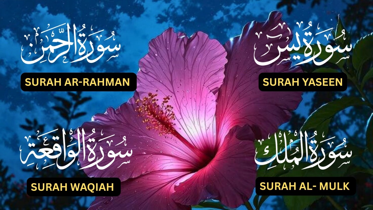 Surah Yaseen♥️, Surah Rahman♥️, Surah Waqiah♥️, Surah Al Mulk♥️| Beautiful Divine Recitation ❤️