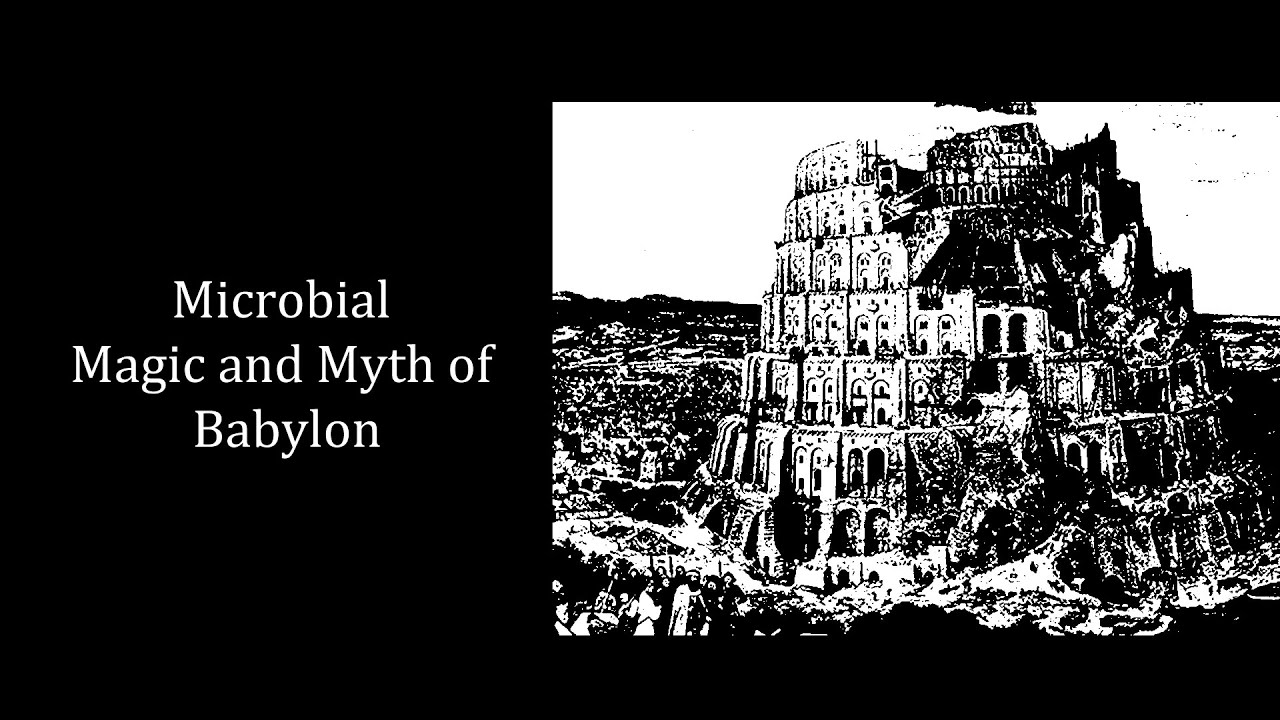 Babylonian Myth, Magic and Microbes