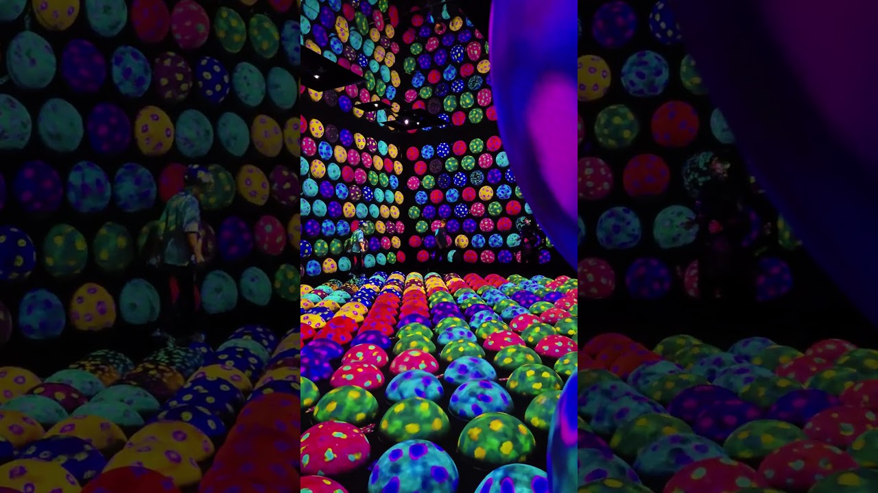 Teamlab Planets Tokyo!  