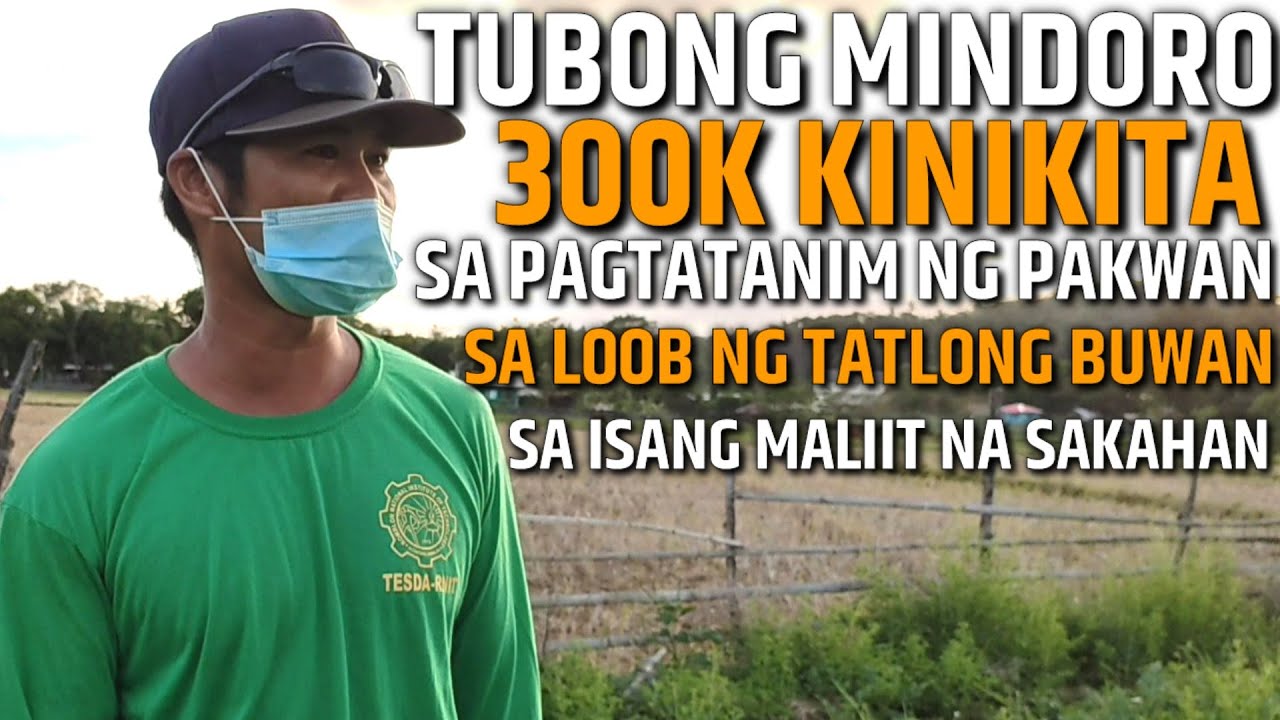 300K KINIKITA SA PAGTATANIM NG PAKWAN SA LOOB NG TATLONG BUWAN SA KANYANG MALIIT NA SAKAHAN