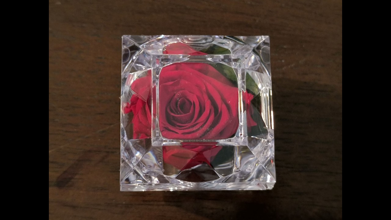 The 35th Rose