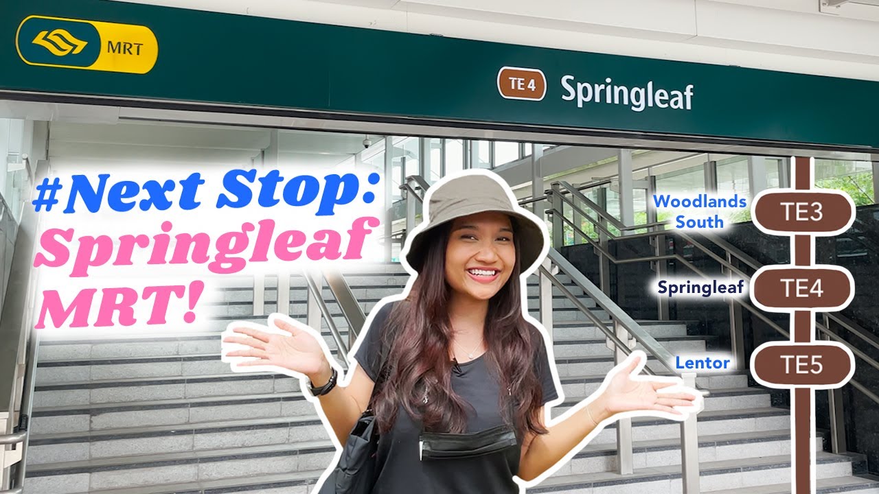 Explore around newly opened Springleaf MRT along Thomson East Coast Line | Next Stop
