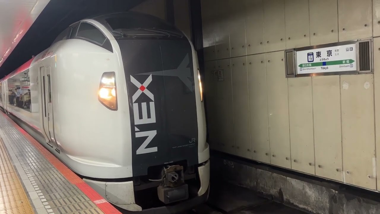 東京駅成田エクスプレス(NEX)発車メロディー＋警笛