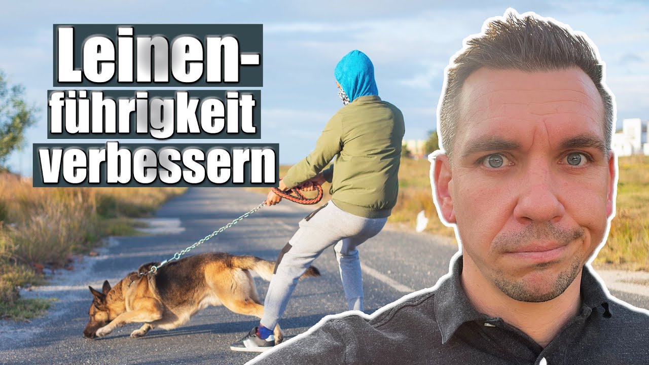 Gassi gehen: Diese 4 Fehler stressen dich und deinen Hund