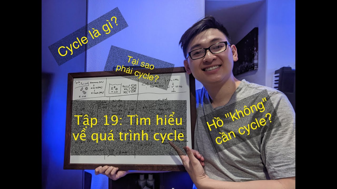 Tập 19: Tìm hiểu về quá trình cycle