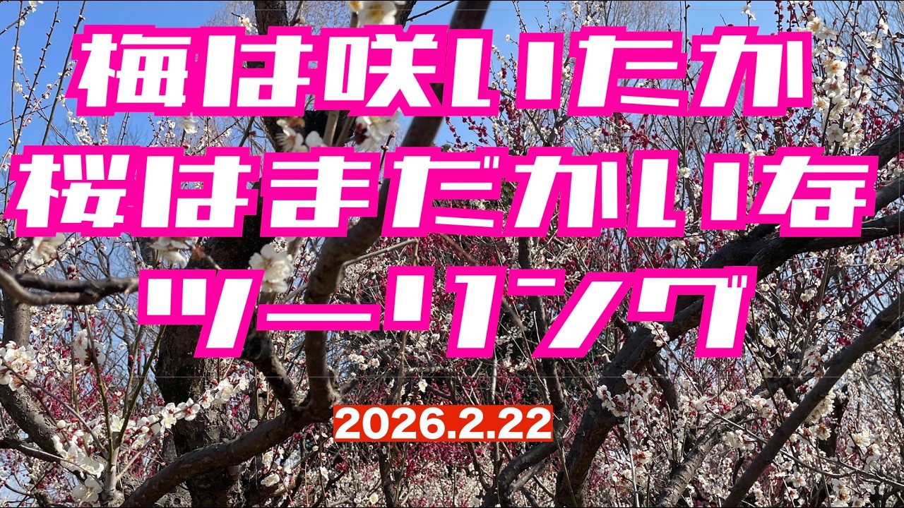 CB1100 ちょこっとツーリング　2026 2 22 パサール蓮田＆大宮花の丘