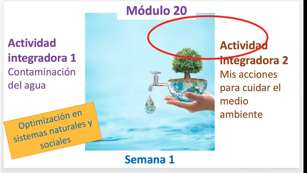 MÓDULO 20 : SEMANA 1 : Actividades integradoras 1 y 2