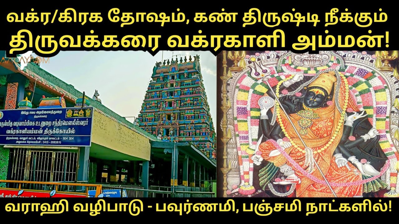 வக்ரகாளி அம்மன் கோயில்| திருவக்கரை| விழுப்புரம்|  Vakrakali Amman Temple| Thiruvakkarai| Vilupuram|