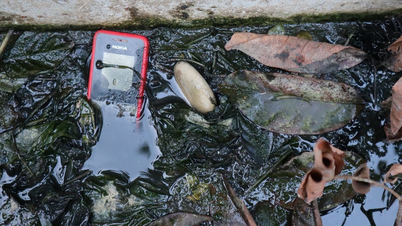 Restoration abandoned Nokia 105 phone in sewerage  | Old Nokia Phone Restore
