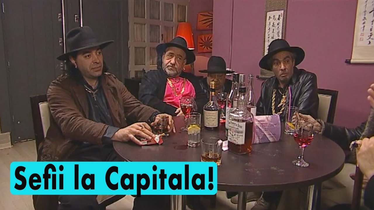 Sefii la Capitala! --- Viziru in serialul REGINA