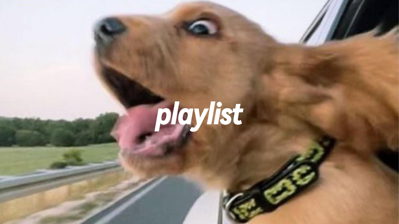 Playlist 기다려, 명절 | 여행갈 때•드라이브할 때•노동요•매장음악•플레이리스트•느좋플리