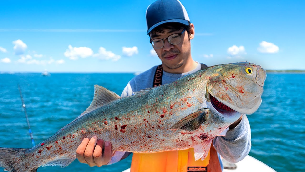 24 Hours to Catch as Much Trash Fish as Possible