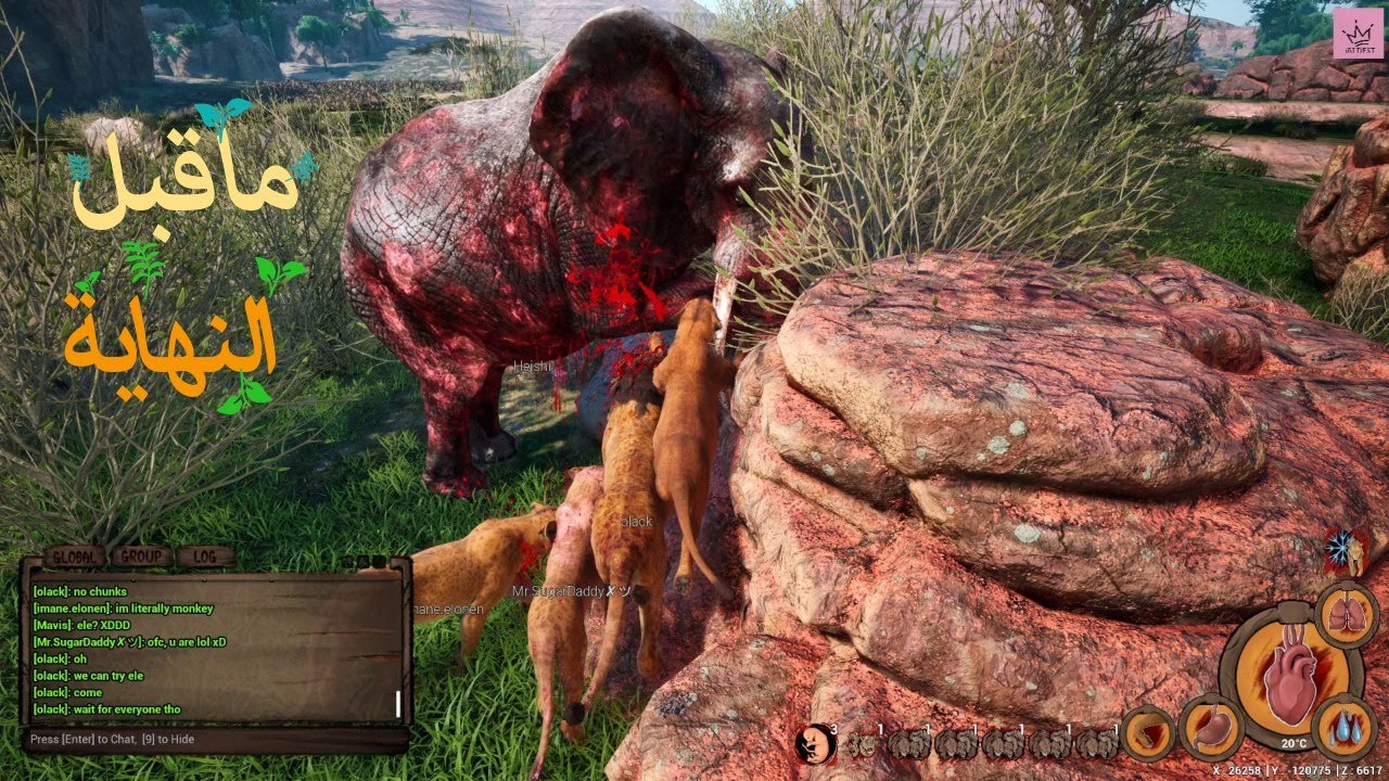 انيميليا سيرفايفل حياة الأسد  #4 I الافتراس Animalia Survival I