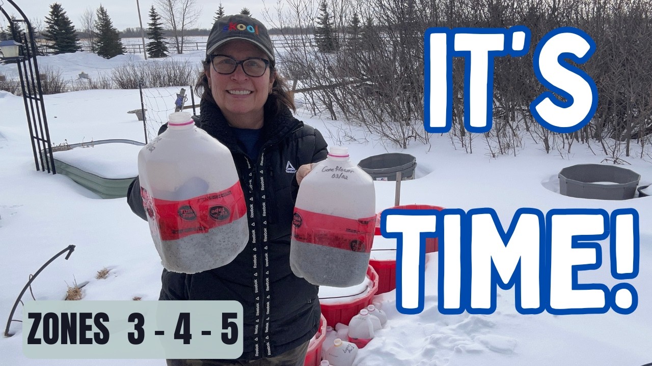 Cold Climate Gardening | The March Timing Game Changer