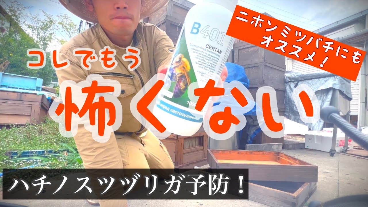 【生物農薬】B401でスムシ予防をする！