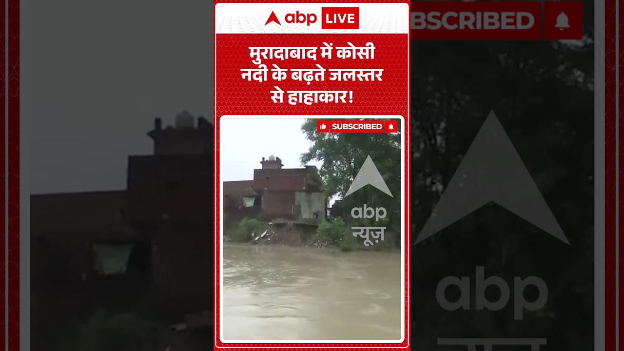Viral Video : मुरादाबाद में कोसी नदी के बढ़ते जलस्तर से हाहाकार! | #kosiriver #biharflood