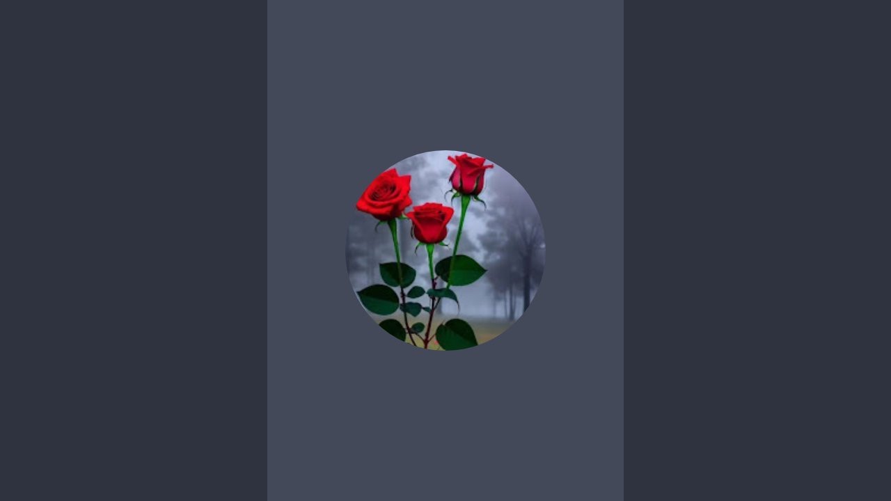هي هي هي