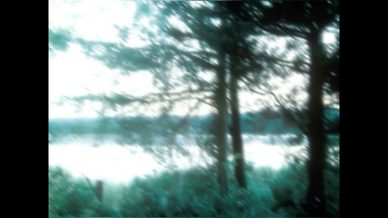 Ringo Deathstarr - I Don't Want to Lose This (slowed + reverb)