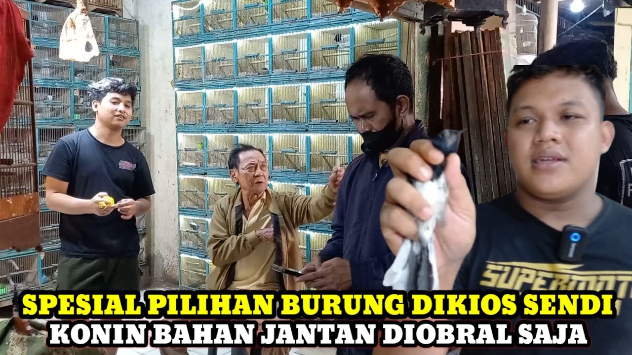 SPESIAL HARI INI DIKIOS BURUNG SENDI PASAR BURUNG PRAMUKATERBARU MENYAMBUT LEBARAN