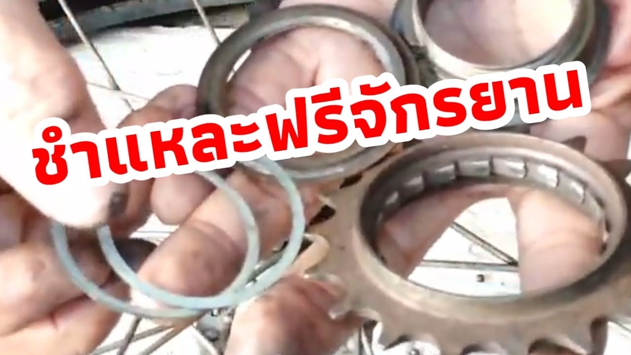 ชำแหละฟรีจักรยาน