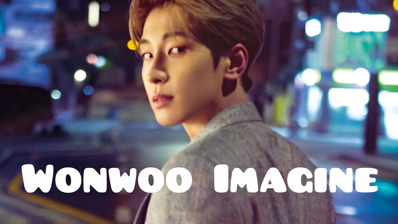 Wonwoo Imagine : He wants to start all over with you | Part 2