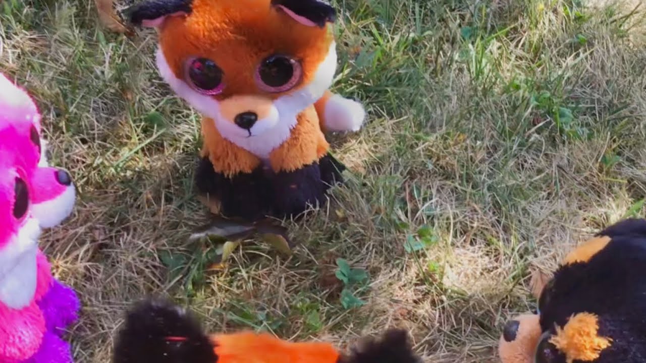 Maniac - Short Beanie Boo Music Video - 1 Hour Challenge!