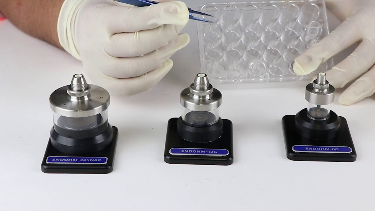 What's the Difference between Hanging and Standing Cell Culture Inserts used in EndOhm Chambers