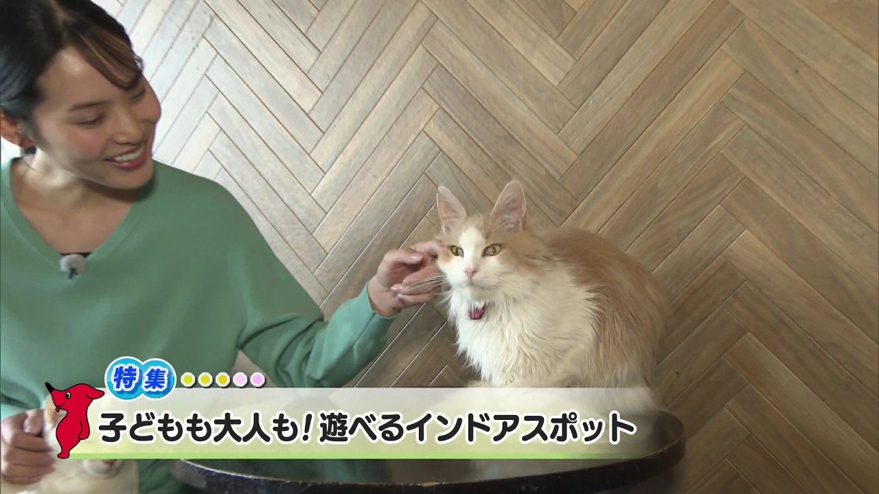 ウィークリー千葉県「子どもも大人も！遊べるインドアスポット」R8/2/28
