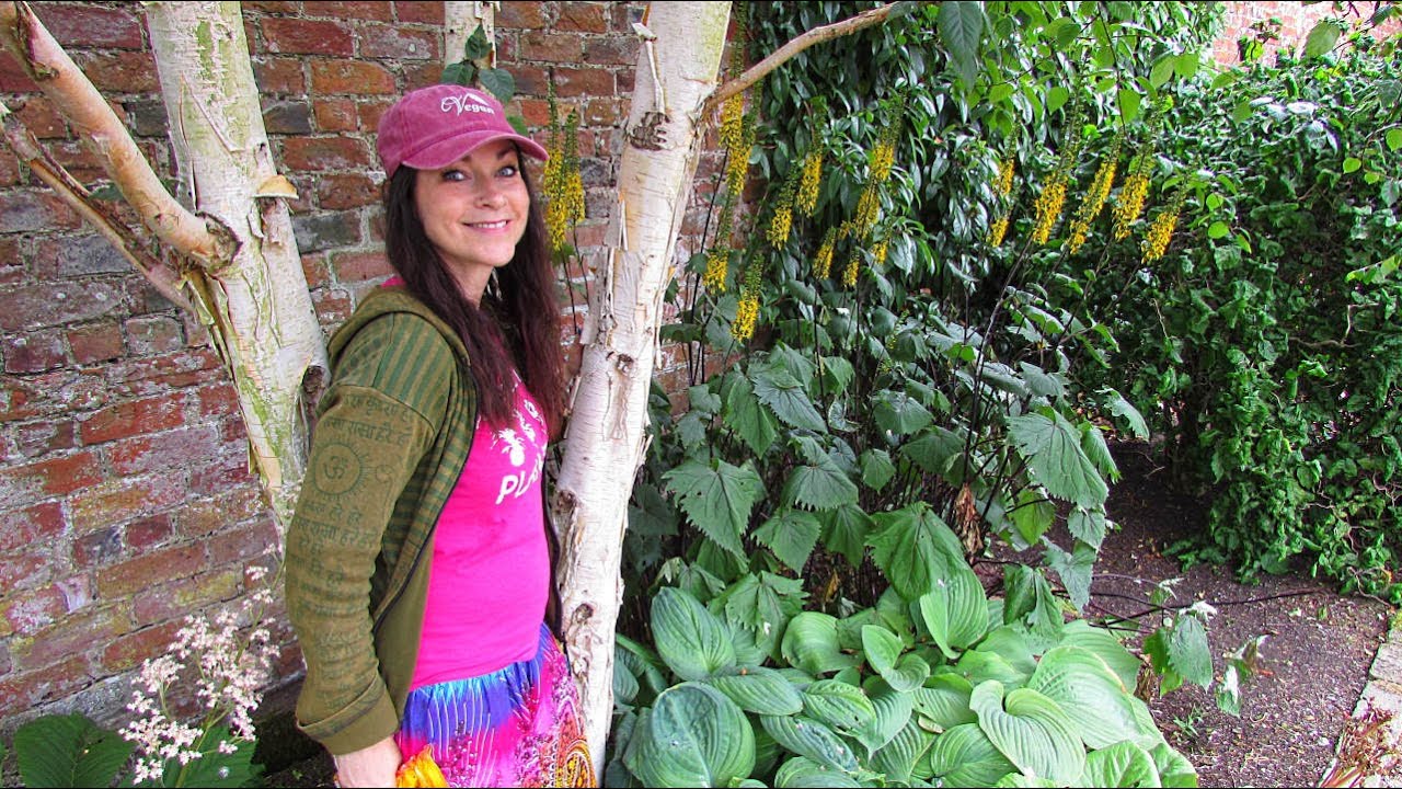 Enjoy a day out with us at Bangor Castle Walled Garden, N. Ireland