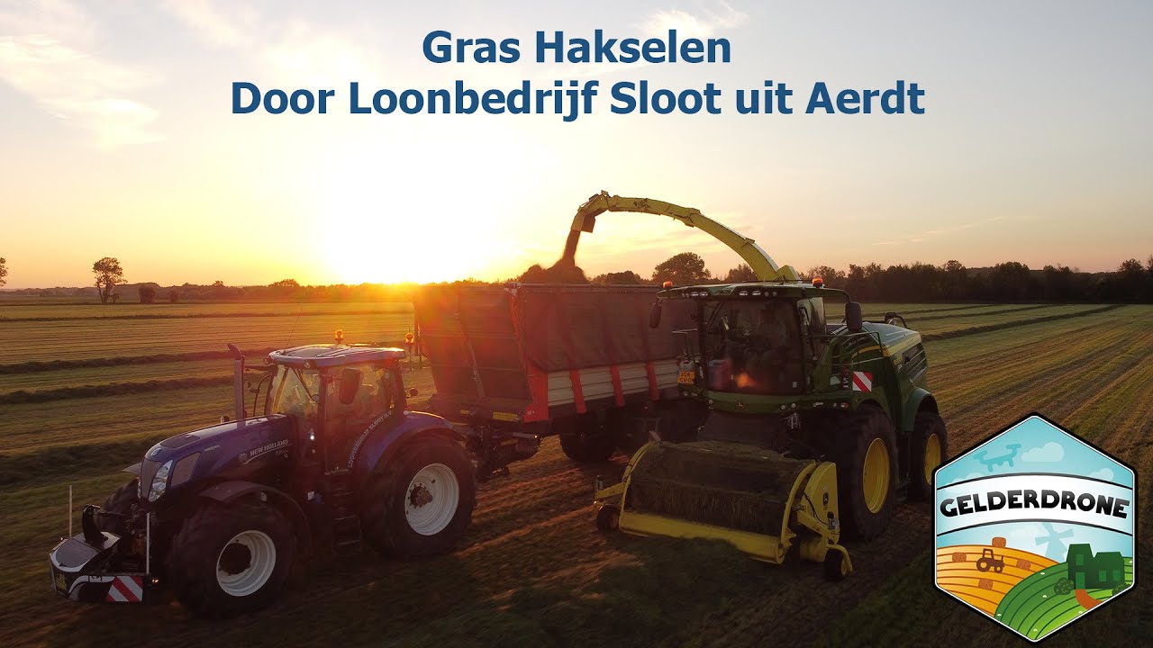 Grasseizoen 2021 - Gras Hakselen door Loonbedrijf Sloot uit Aerdt.
