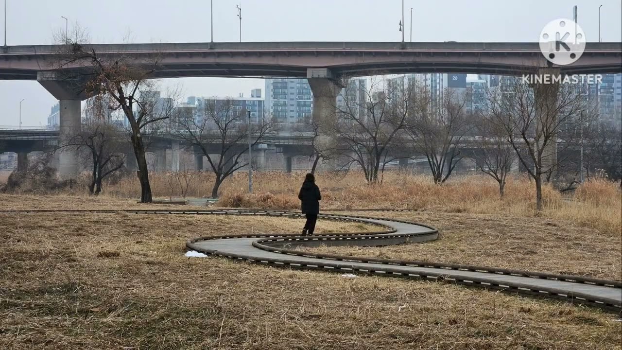 오늘도 걷는다.